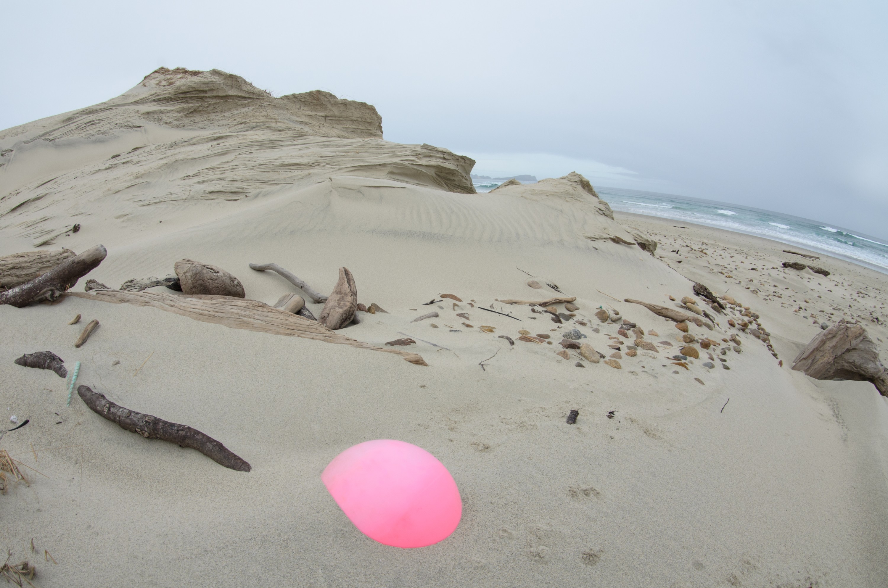 DSC_2001 – Adventure, Bay, Crispin, Island, March 2017, Mason, Mason Bay, National Park, New, New Zealand, Rakiura, South, Stewart, Zealand
